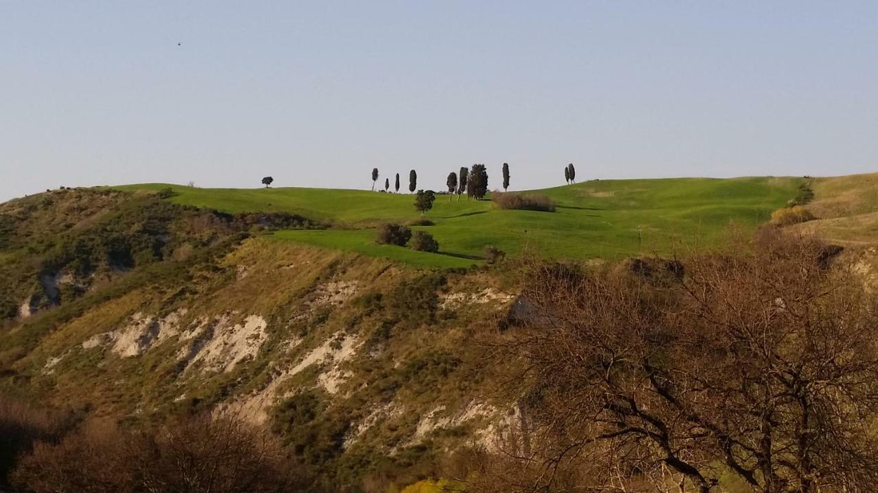 Pensjonat Agriturismo La Quiete Volterra Zewnętrze zdjęcie